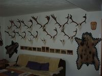 Lovecké štěstí