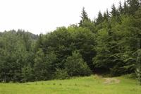 1309708771.644664.JPG