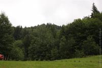 1309708771.945627.JPG