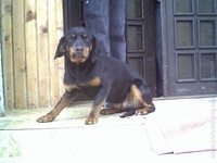 Carmen