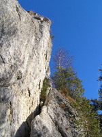 1167165770.091764.JPG