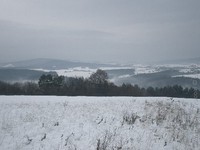 1145690128.485317.jpg