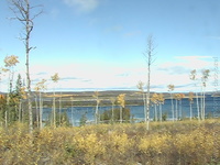dedojozef