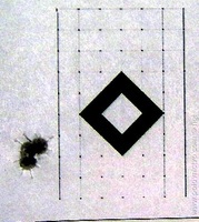 1265138175.266808.JPG