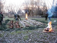 1201507449.837801.jpg