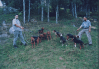 1143229731.022336.gif