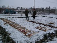 1201008167.488158.jpg