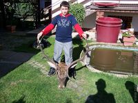 1201008093.414510.jpg