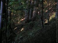 1201204759.529833.JPG