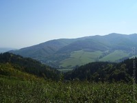1146600081.199671.jpg