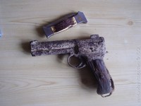 vselico