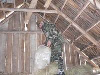 Prikrmovanie 11.2.06