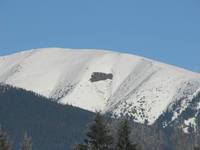 Prikrmovanie 15.1.06