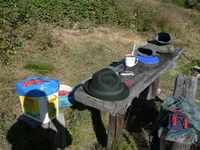 Ruja 2005