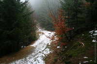 1200907187.436539.JPG