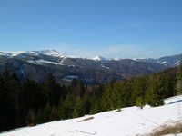 1199789000.816724.JPG