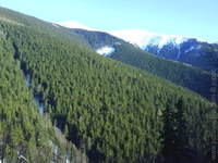 1199789421.013280.JPG