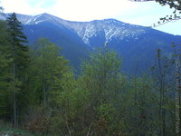 1199789421.874811.JPG