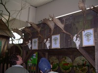 Viva Natura 2007