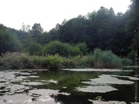 1205144827.344988.JPG