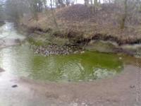 1205143215.747423.jpg