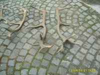 1203863917.470921.jpg