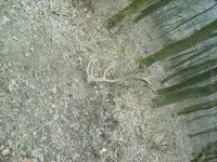 1203964557.957441.jpg
