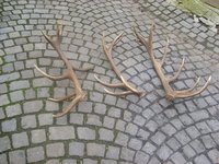 1203964652.054964.jpg