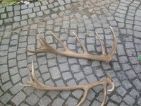 1203964787.239932.jpg