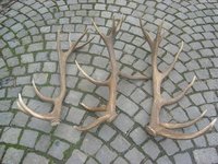 1203964879.964636.jpg