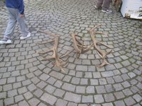 1203964880.288942.jpg