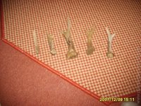 1203017311.085965.jpg