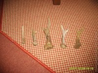1203100737.732125.jpg