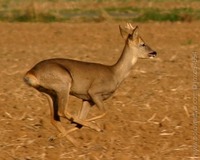 1190046427.320117.jpg