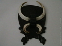 1205544148.280251.JPG