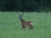 1205544479.015574.JPG