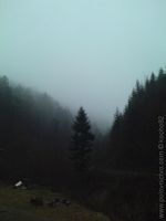 1168078289.836421.JPG