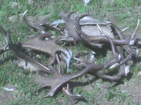 Zhody 2006