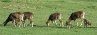 1194506267.854741.JPG
