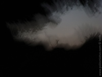 1214540720.208926.jpg