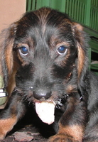 1201167249.824927.jpg