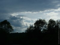 Priroda
