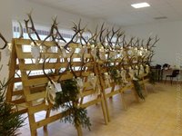 polovnicka vystava