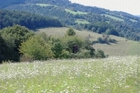 revír