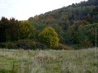 1224108257.430650.jpg
