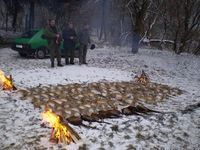 spolocne polovacky