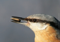 1198605445.107628.jpg