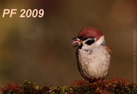 1230138879.602496.jpg