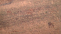 1304439731.585980.JPG
