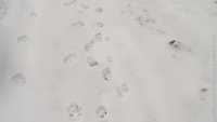 1301505770.219173.JPG